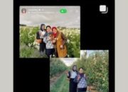 Viral! Anggota DPR RI Cindy Monica Panen Buah di Luar Negeri Saat Rakyat Demo, Netizen hingga Jerome Polin Ikut Soroti