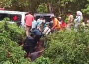 Warga dan Pengendara Evakuasi Korban Mobil Masuk Jurang di Kelok Panta Mantua, Polisi Terlambat Datang