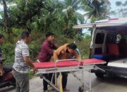 Dua Motor Tabrakan di Panorama Dua, Satu Pengendara Luka Serius