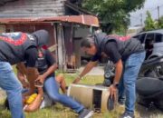 Tim Klewang Polresta Padang Gelar Simulasi Penanganan Keamanan Saat Gempa