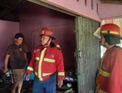 Kebakaran Warung di Koto Tangah, Petugas Damkar Padang Bergerak Cepat Padamkan Api
