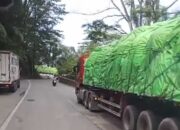 Ketika Truk Gandeng Tersandar di Sitinjau Lauik, Petugas dan Warga Turun Tangan