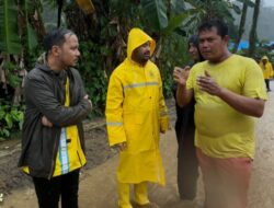 Di tengah Hujan Deras, Zigo Rolanda Pantau Pengerjaan Normalisasi Sungai Gunung Nago