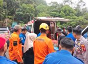 Kecelakaan Tunggal di Kelok 9, Basarnas Padang Evakuasi Tujuh Penumpang dari Jurang