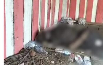 Warga Jorong Sialang Dikejutkan Temuan Mayat Pria Tak Dikenal di Pos Ronda