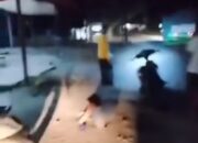 Teriakan Tolong di Balik Tawuran Pagi Hari di Pasaman