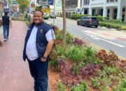 Mayoritas Warga Hidup dari Pertanian di Pasaman, Tambang Rakyat Legal Jadi Jalan Tengah