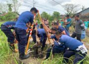 Respons Cepat Damkar Padang, Sapi Terjebak Sumur Berhasil Dievakuasi dengan Selamat