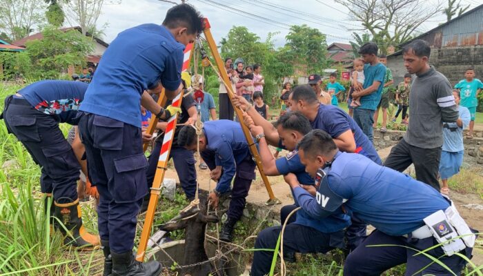 Respons Cepat Damkar Padang, Sapi Terjebak Sumur Berhasil Dievakuasi dengan Selamat